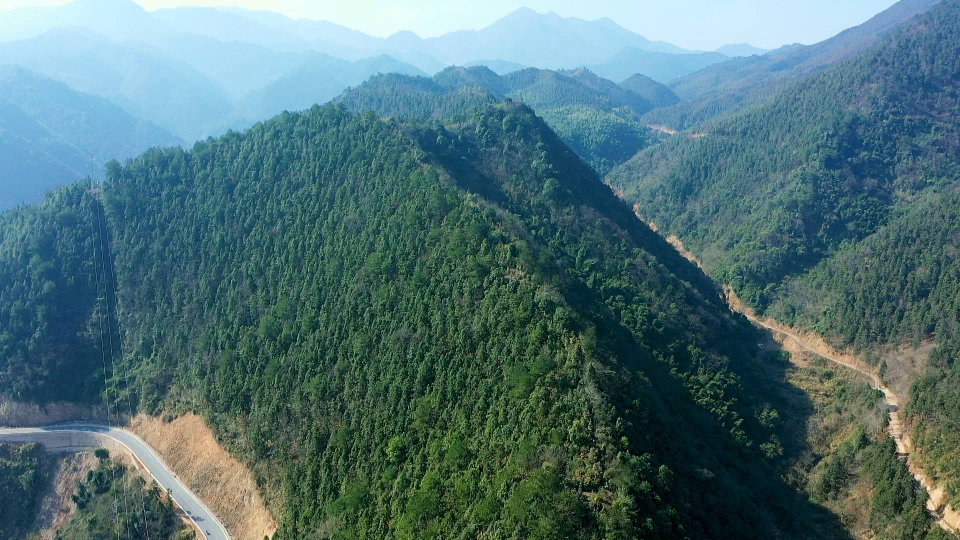 县西山国有林场：40余名护林员护航森林安全