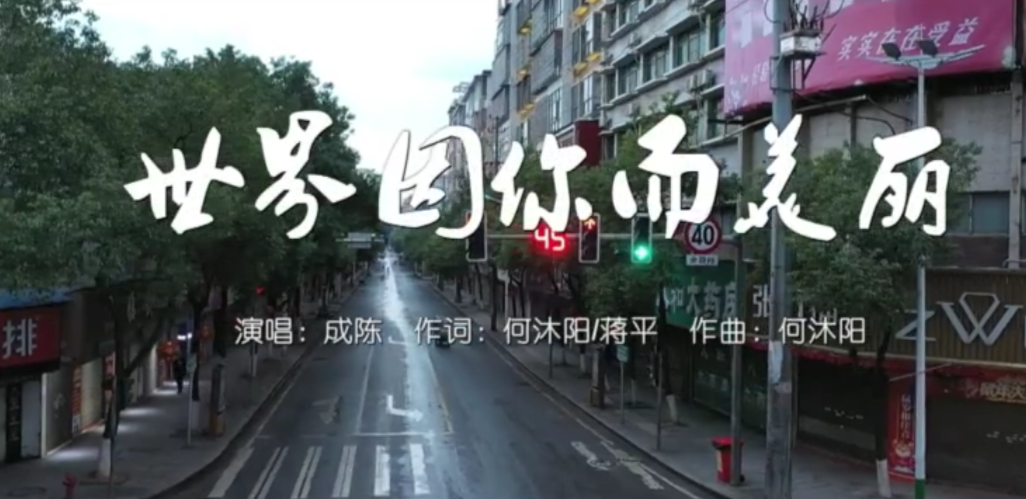 郴州临武抗疫MV《世界因你而美丽》