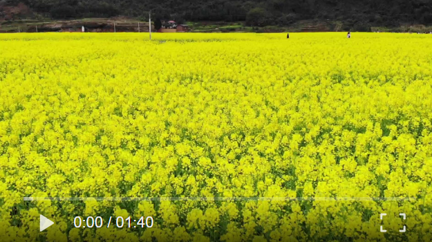 【学习强国】湖南临武：春回大地 花团锦簇