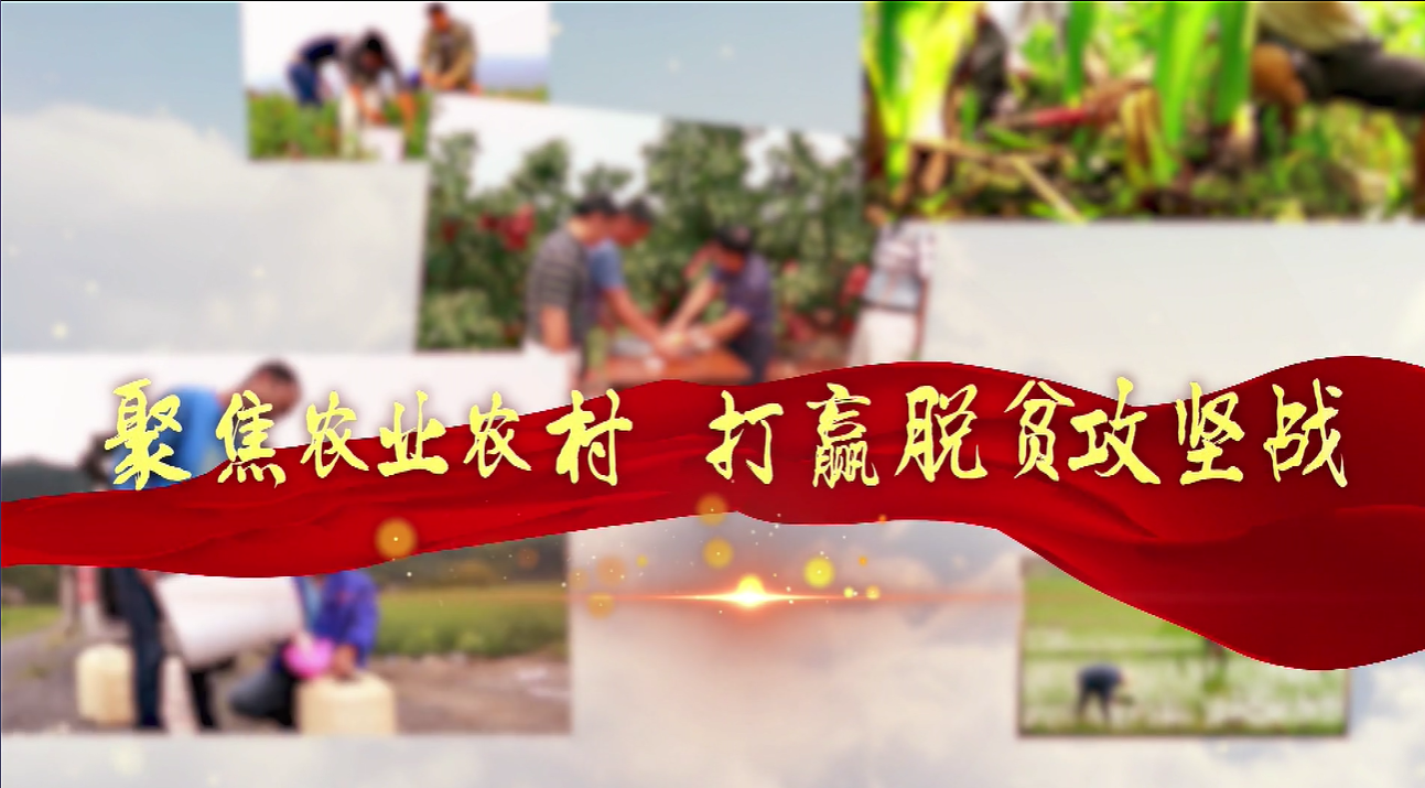聚焦农业农村 打赢脱贫攻坚战