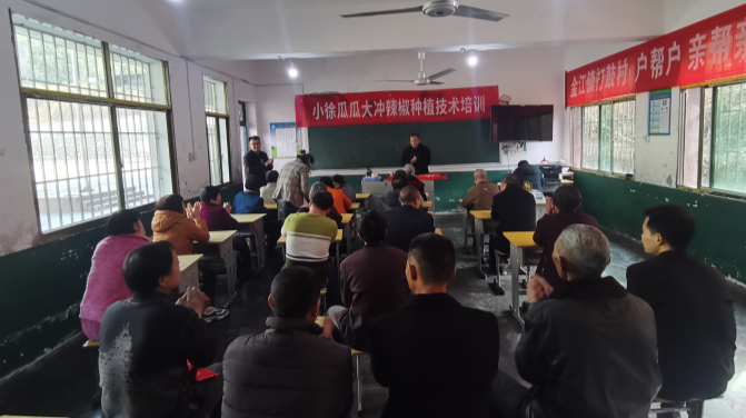 金江镇：送种子送技术 产业扶贫春意浓
