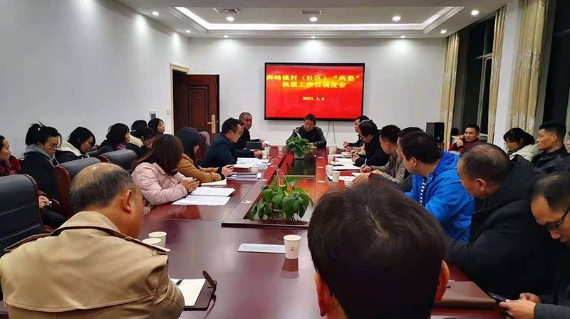 【红网时刻】临武县舜峰镇：以“望闻问切”把脉换届选举