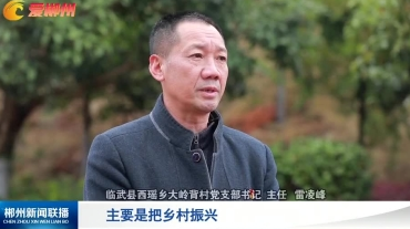 【郴州新闻联播】村（社区）党组织书记：乡村振兴这么干！