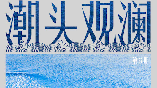 潮头观澜丨新的关头 再探改革