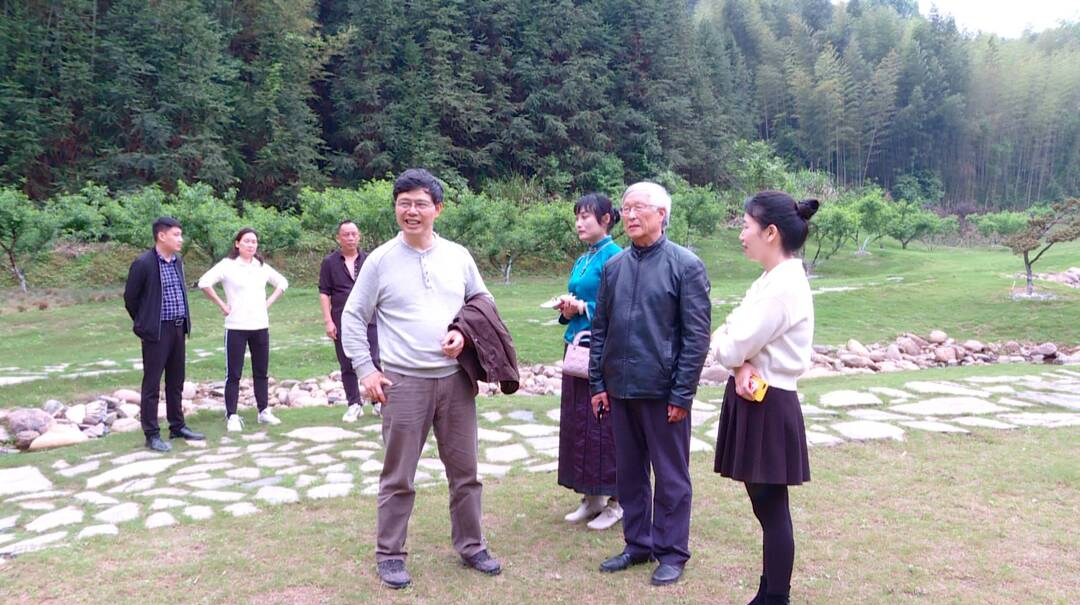 高爱国调研我县“民宿+文化”融合发展情况