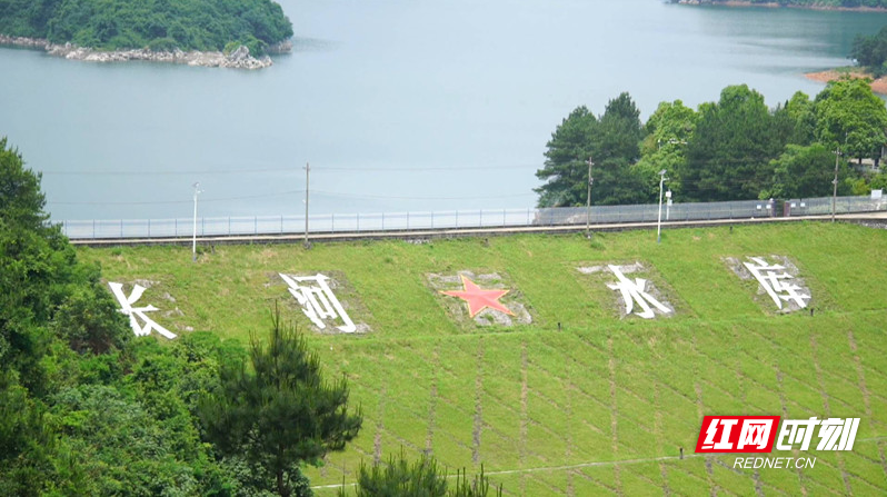 【红网时刻】庄宗琳：临武“三峡工程”的功勋