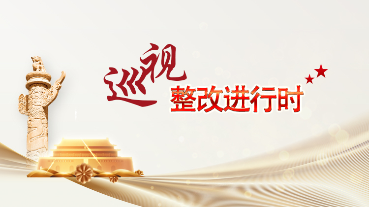 巡视整改进行时