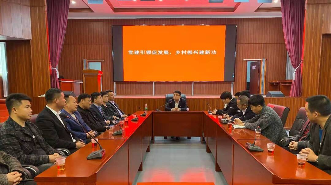 万水乡：党建引领促发展 乡村振兴建新功