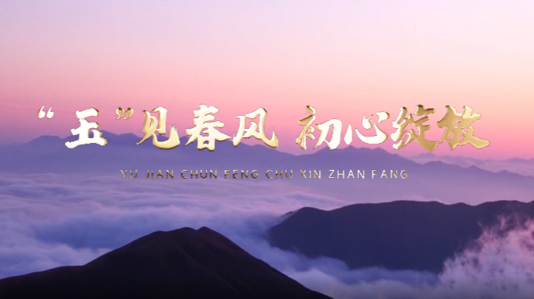 音诗画｜“玉”见春风  初心绽放