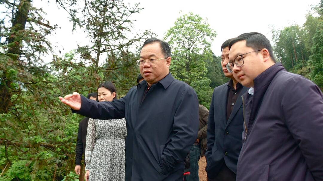 刘杨检查地质灾害防治工作