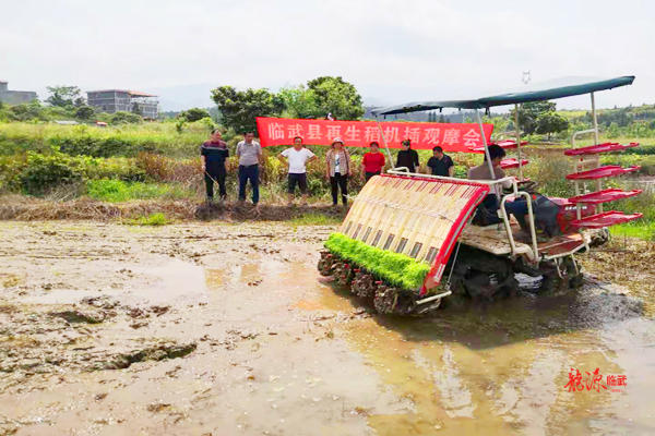 麦市镇：粮食耕种开启新模式