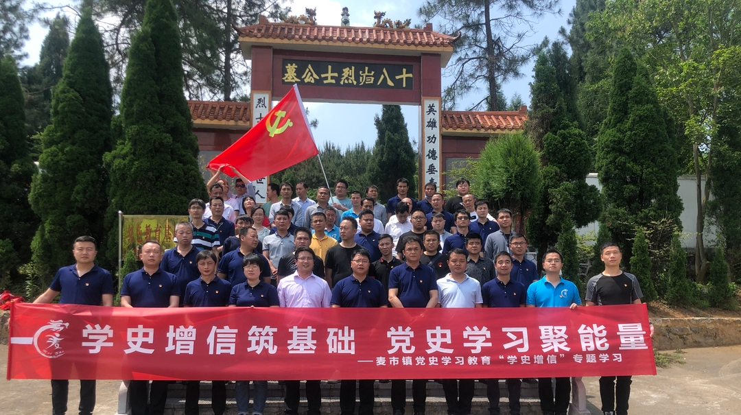 麦市镇：“1+1”模式推动党史学习教育走深走实