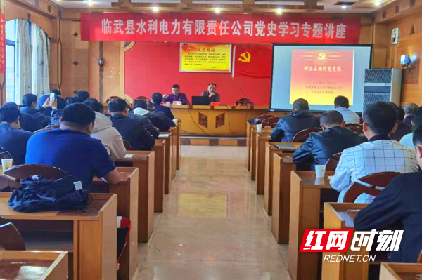 【红网时刻】临武：党史学教！足履实地方致远