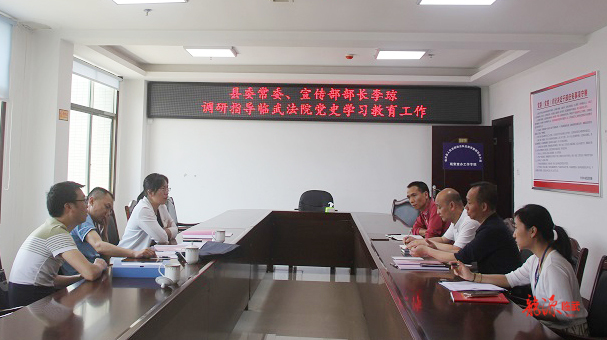 李琼调研临武法院党史学习教育工作