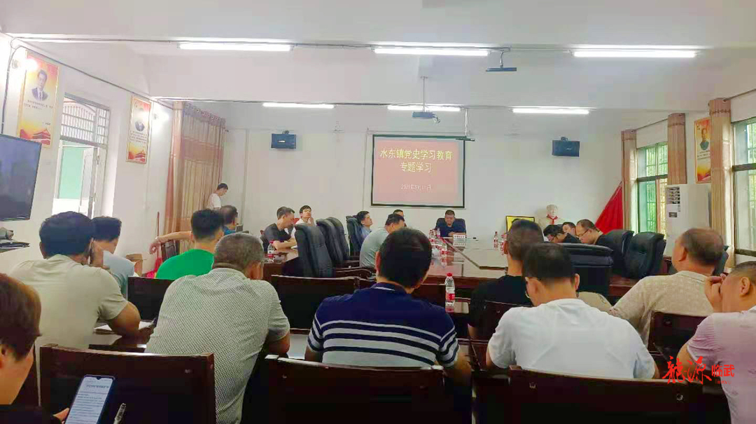 水东镇：“学史崇德”专题学习会
