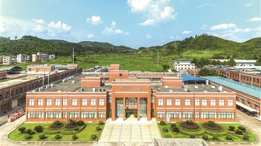 【湖南日报】开源节流惠民生 ——临武县财政工作纪实