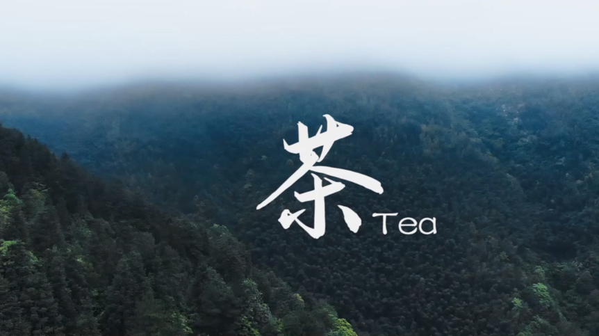【新湖南】郴州临武：味道丨古法制茶