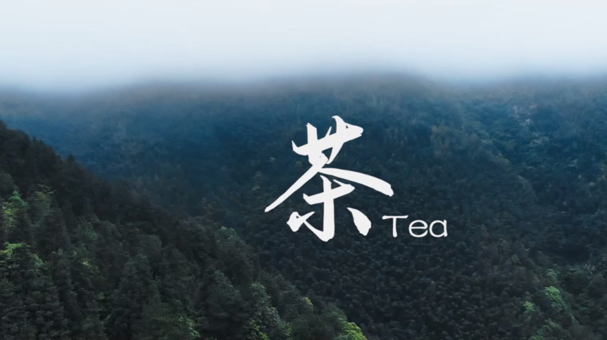 【学习强国】传统手工技艺：古法制茶！