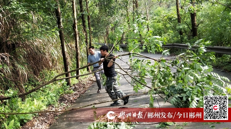 【今日郴州】临武县金江镇：先锋服务队及时清障保畅通