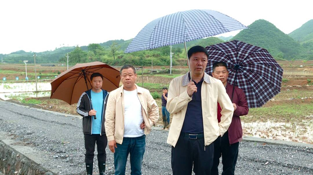县领导到南强指导灾后自救工作