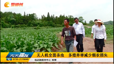 【天天播报】临武：无人机全面杀虫 多措并举减少烟农损失