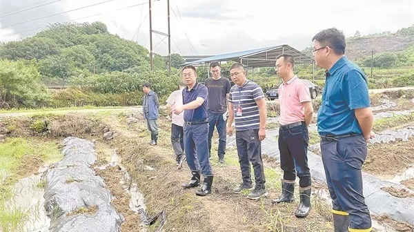 【湘声报】深学细悟实干——临武县政协扎实开展党史学习教育