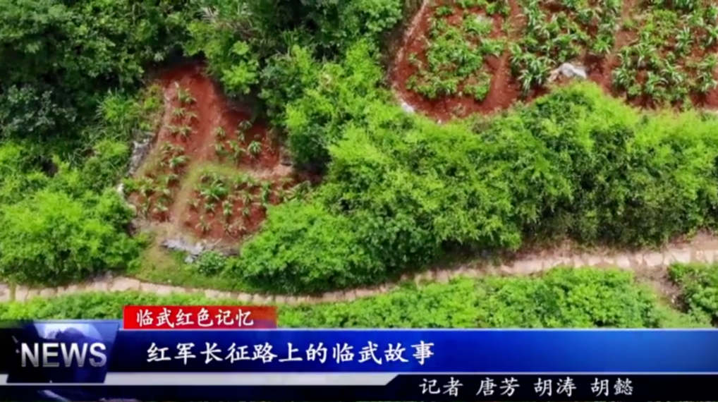 【学习强国】临武红色故事｜红军长征路上的临武故事