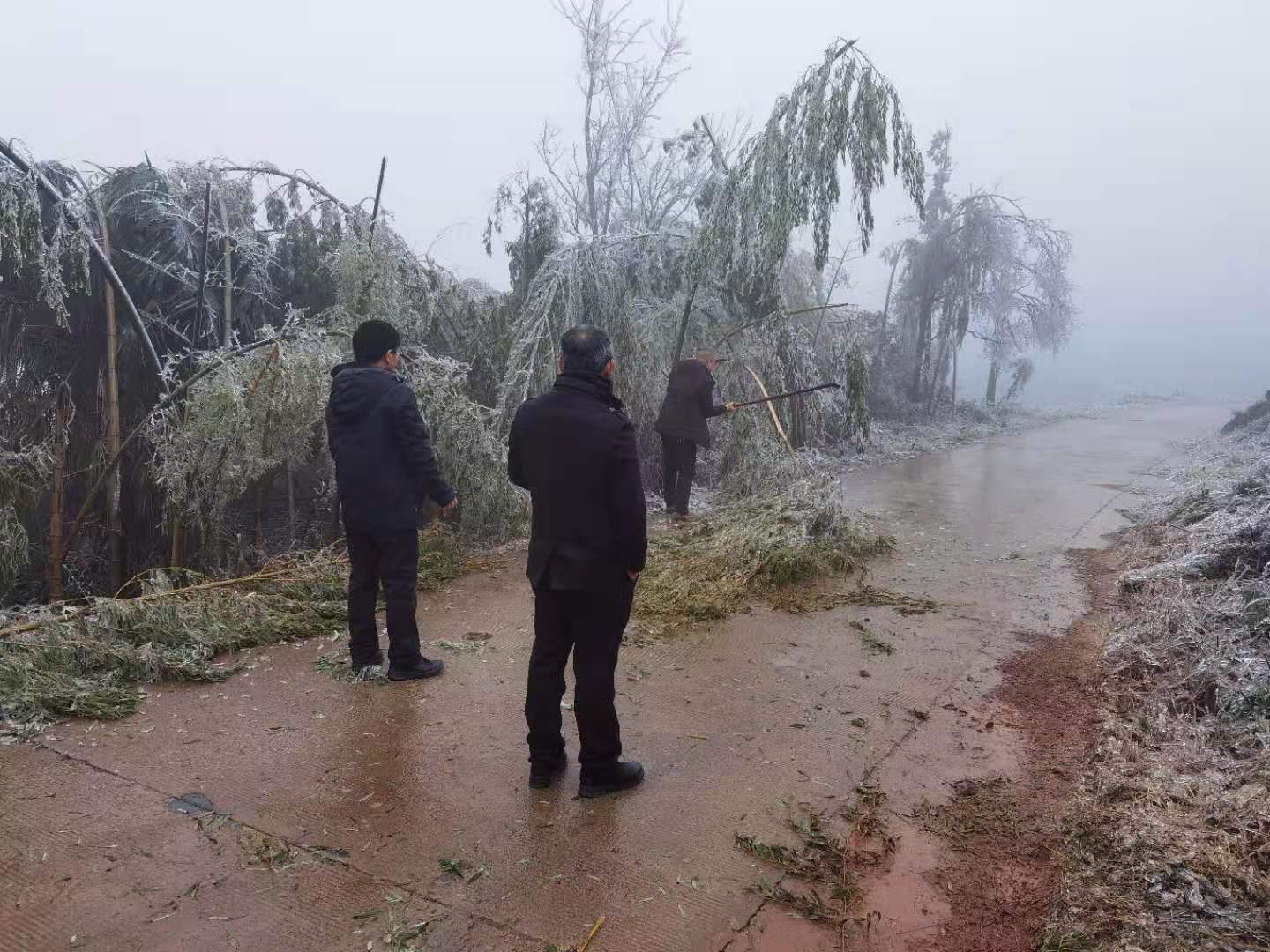 万水乡：全力防范应对低温雨雪冰冻天气