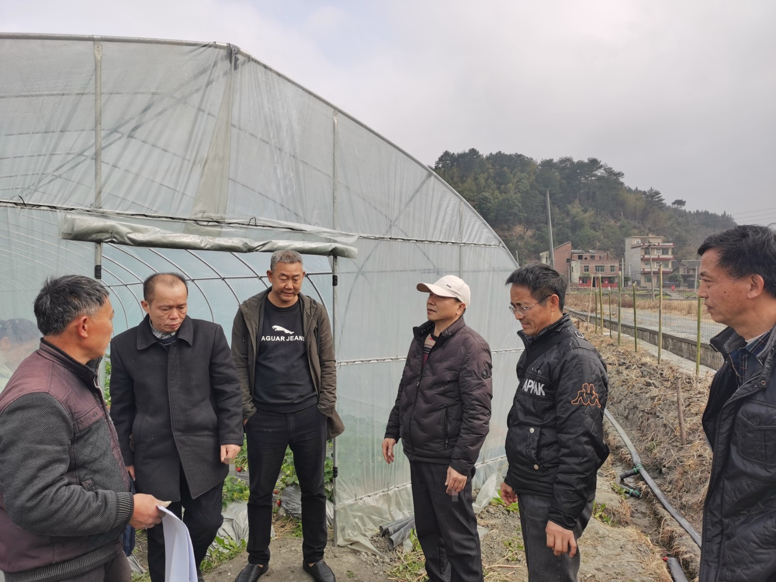 金江镇：节前巡查保“舌尖上的安全”