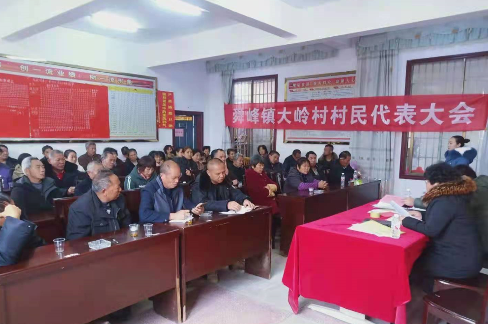 舜峰镇全面完成村（社区）后续配套组织机构换届工作