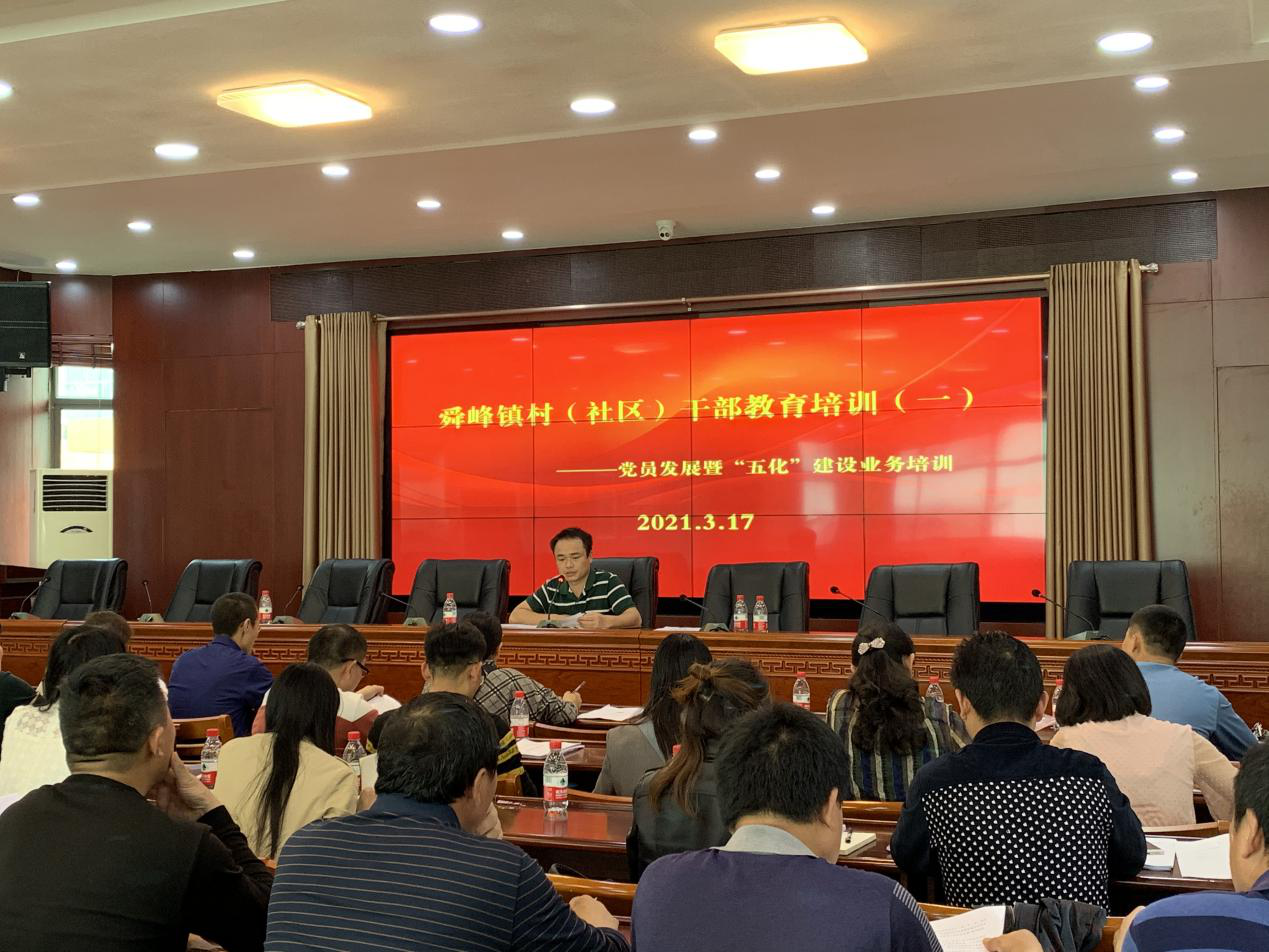 舜峰镇：“菜单式”培训提升村（社区）“两委”干部履职能力