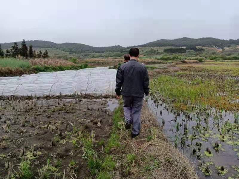 万水乡：扎实开展“我为群众办实事”实践活动