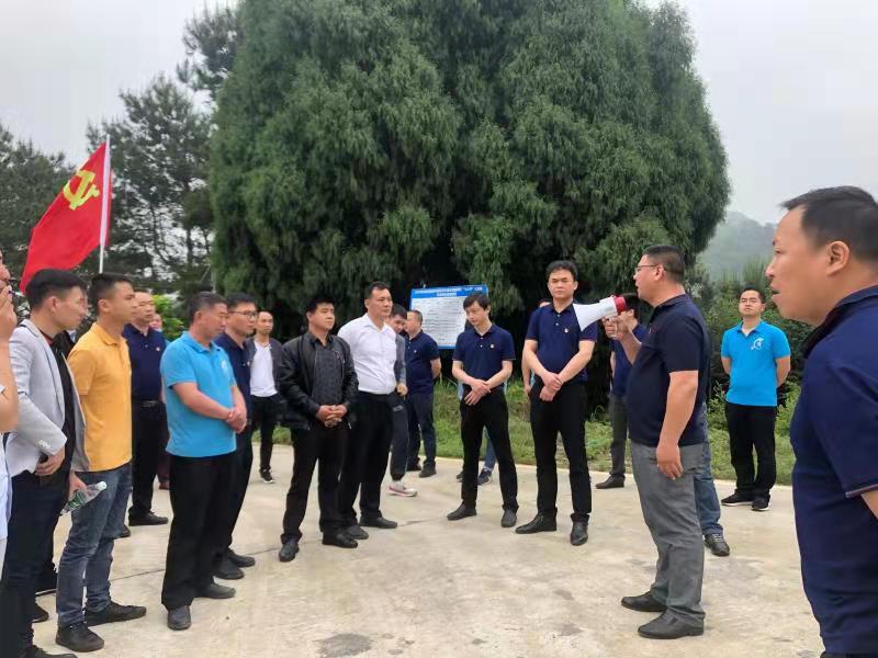麦市镇：让乡村振兴在“移动课堂”中活起来
