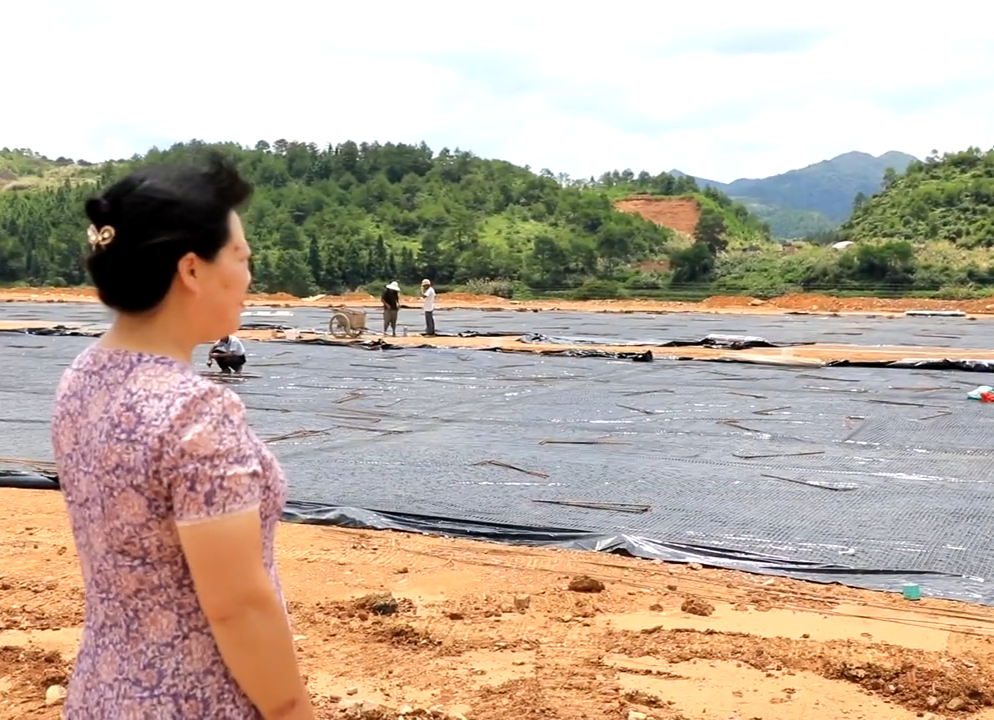 【劳动最光荣】陈翠姣：做勇担社会责任的企业家