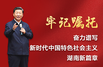 总书记来到沙洲村