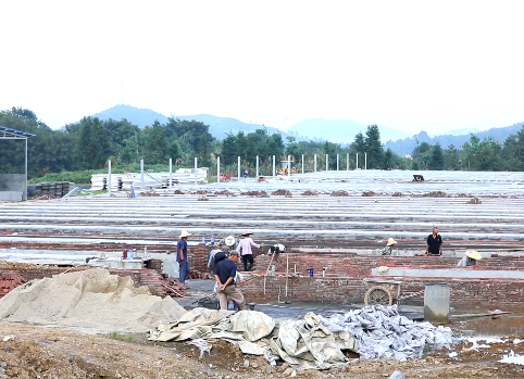 【大干八个月 打赢四大战】龙丰生态猪养殖扩建项目建设如火如荼.mp4