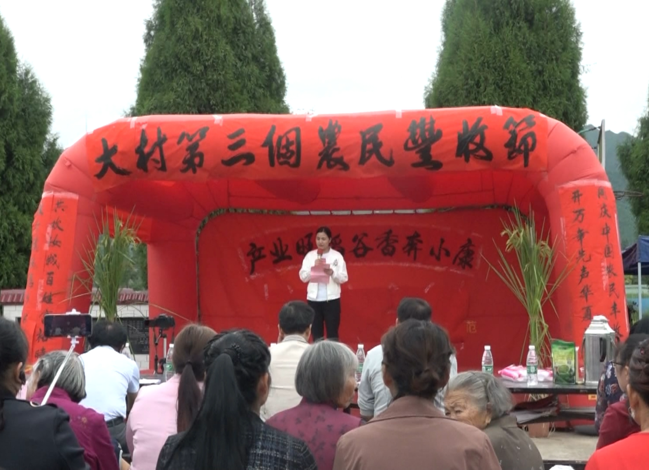 农民丰收节井坡分会场举行联欢会喜庆丰收