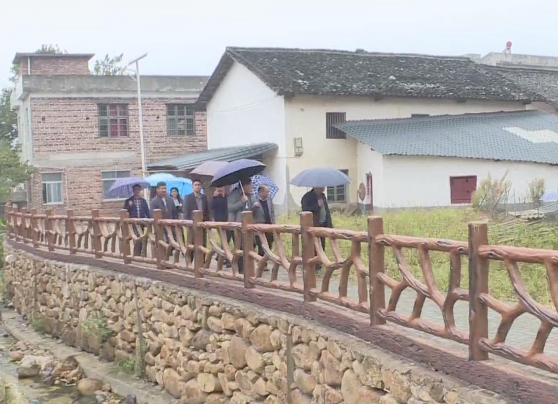 市政协领导到暖水镇广泉村调研乡村振兴工作