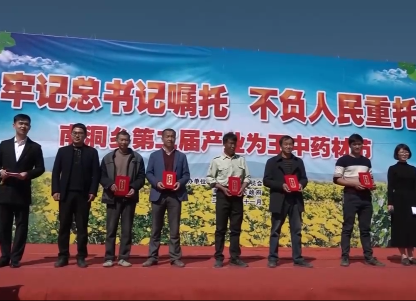 【大干八个月 打赢四大战】南洞乡举办第二届中药材节