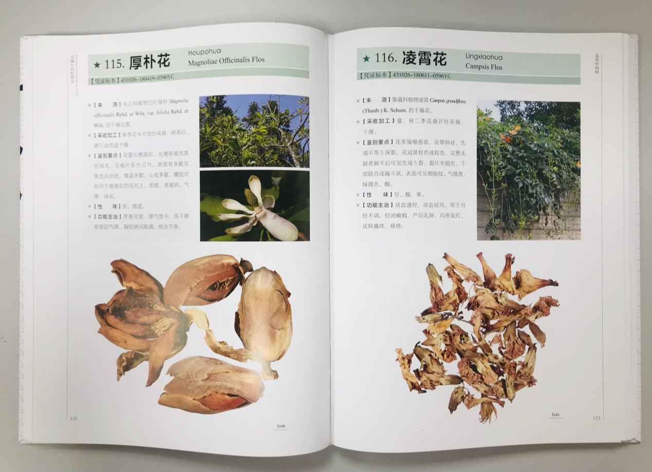 首发！《汝城中药材图志》
