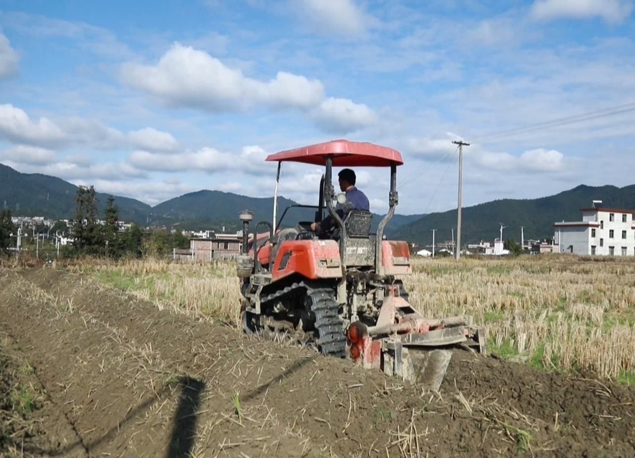 【大干八个月个 打赢四大战】集益乡：轮种植模式助推乡村振兴