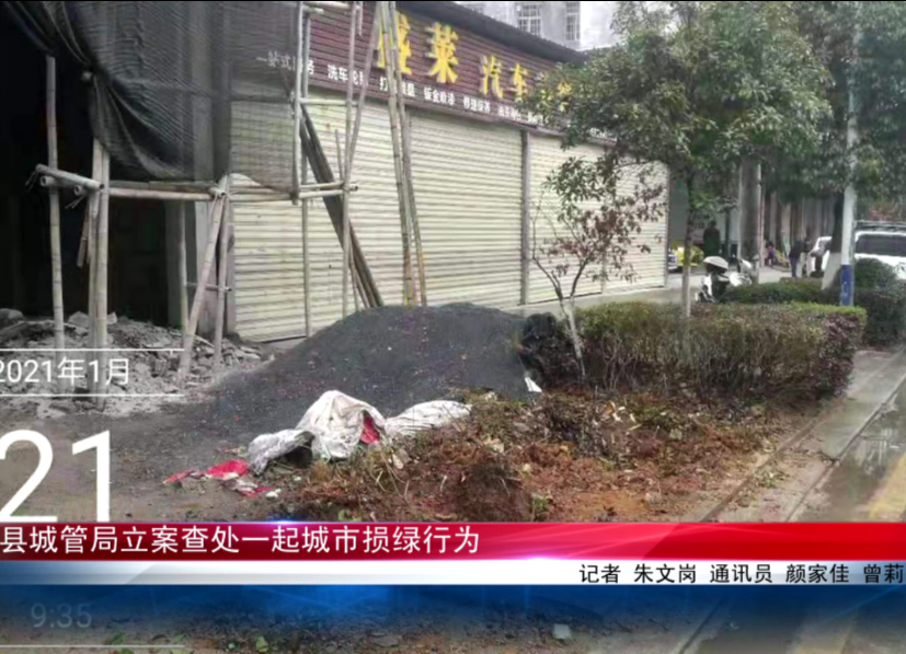 县城管局立案查处一起城市损绿行为