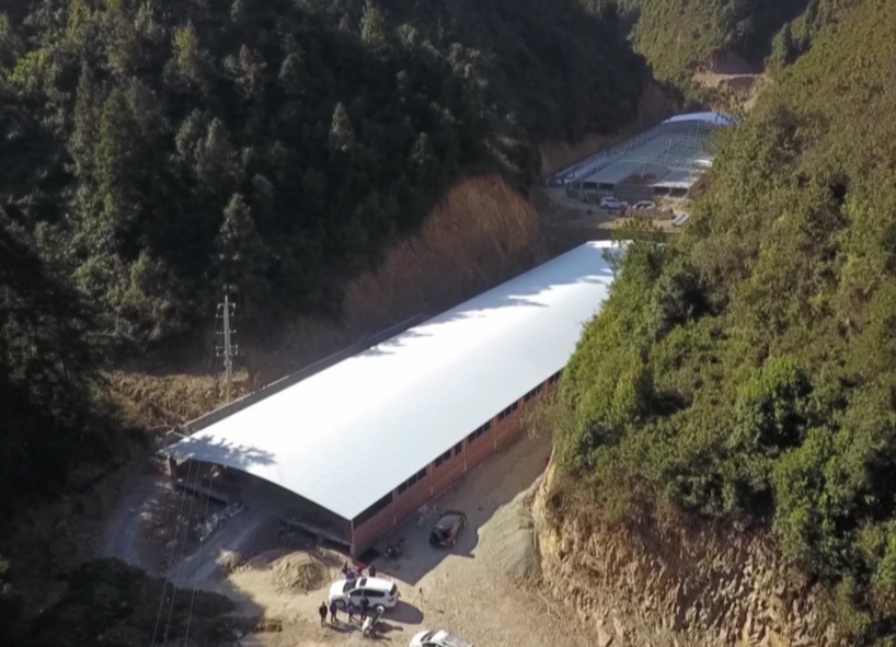 【牢记嘱托 担当作为 走好新时代长征路】泉水镇：积极扶持生猪养殖产业