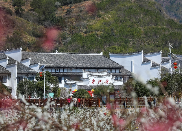 红色沙洲春意浓