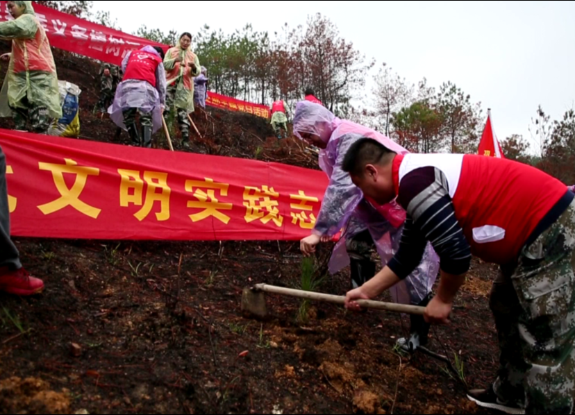 开展义务植树   建设和美卢阳