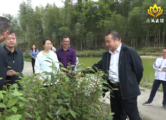 欧永古到三江口瑶族镇兰洞白毛茶基地调研产业发展情况