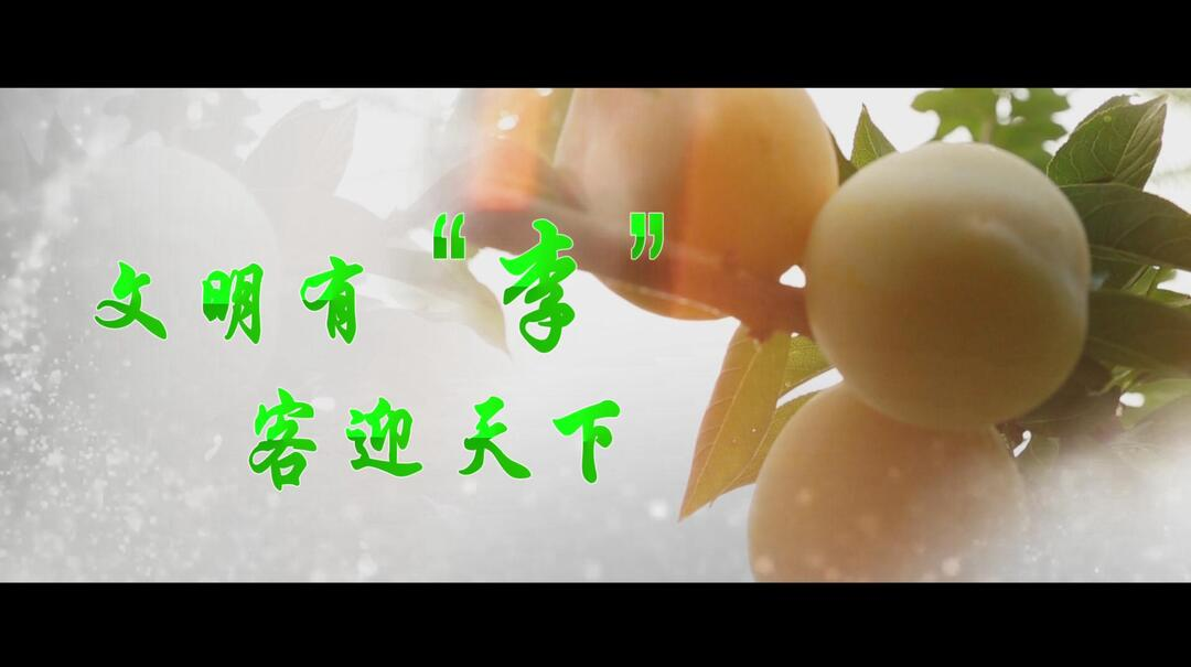 文明有“李” 客迎天下