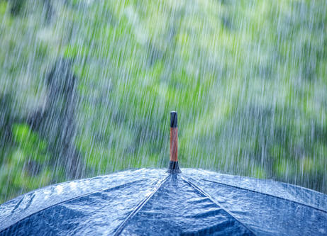 又是雨！今起湖南局地大到暴雨