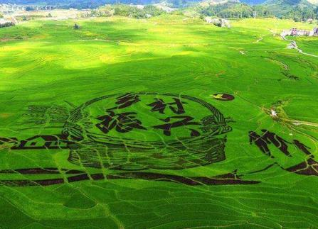 全面推进乡村振兴落地 多地陆续公布政策细节