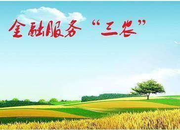 农业农村部将联合金融机构 开展金融服务“三农”模式试点